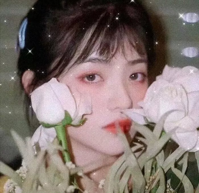 癫疯总动员